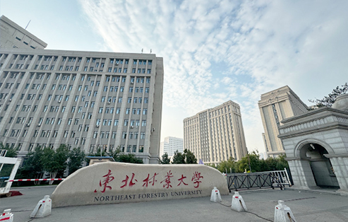 東北林業(yè)大學(xué)科研樓/物理樓